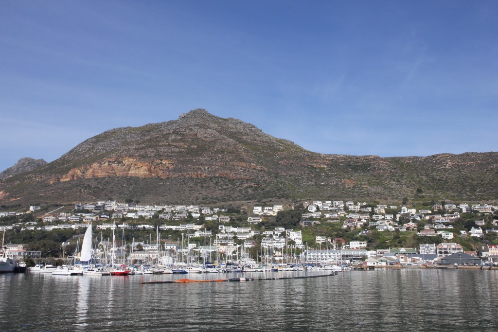 Simon's town8