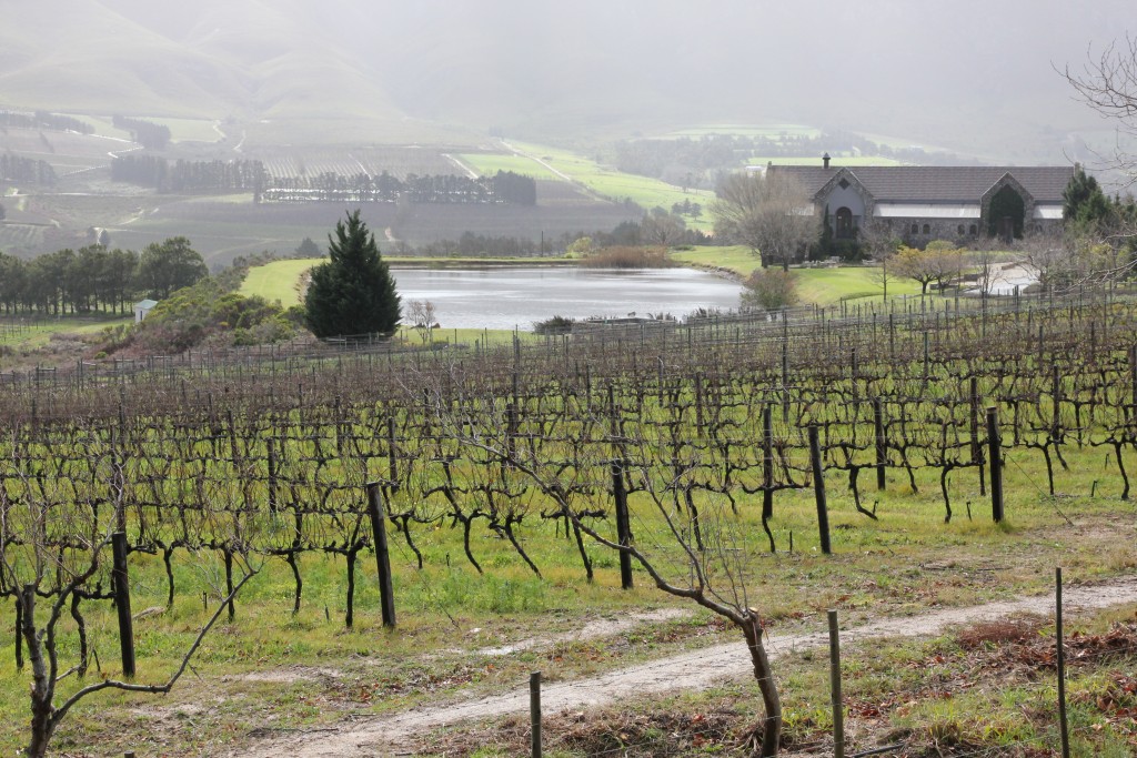Vignobles2